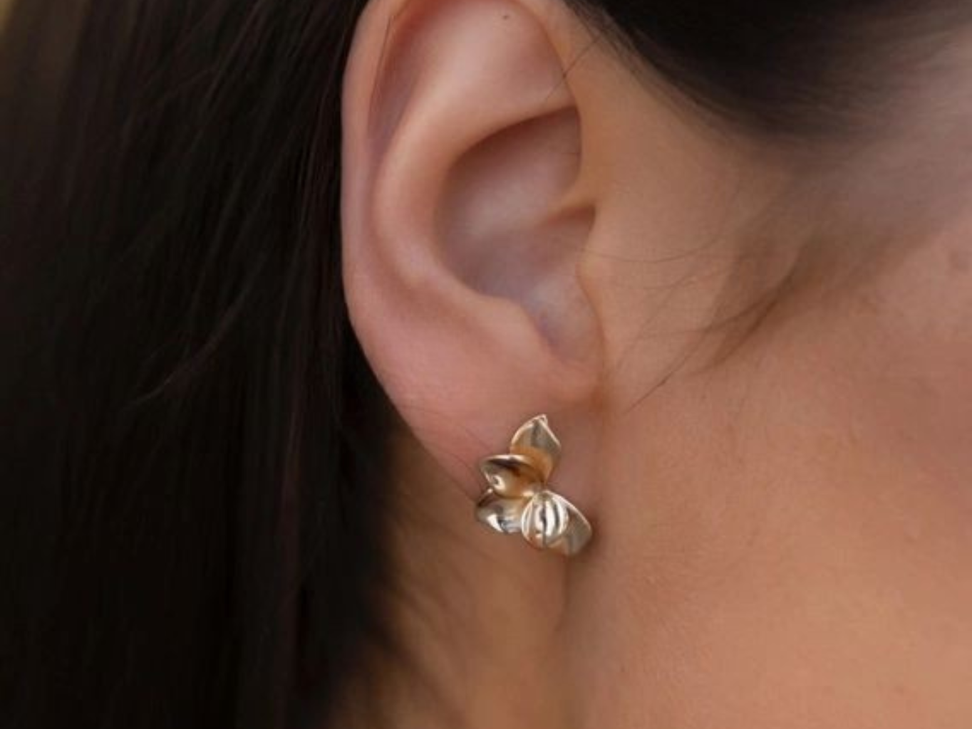 22677.png (1364×1024)